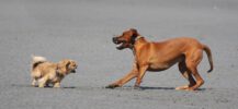 Google AdWords Consultant vs. In-House Google Ads Expert: Which is Right for You?